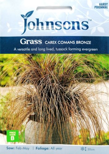 Carex comans Bronze Grass Seeds